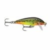Discount 🤩 Fishing Crankbait Lures Rapala Countdown 🧨 -Rapala Sales unnamed file 74